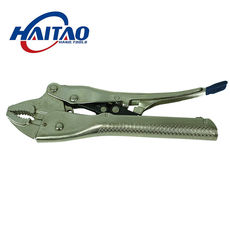 ���{�A�쎧�д����Q