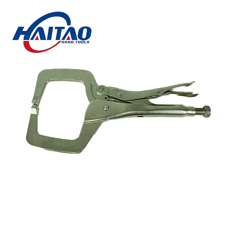 �o���_�����Q